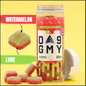 D9 GMY | Watermelon Lime | HYBRID | 30ct